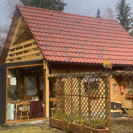 Holzhaus Mit Direktem Wasserzugang In Berlin-Koepenick Eksteriør billede