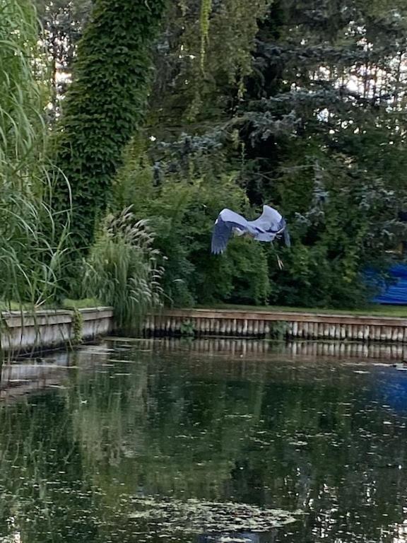 Holzhaus Mit Direktem Wasserzugang In Berlin-Koepenick Eksteriør billede